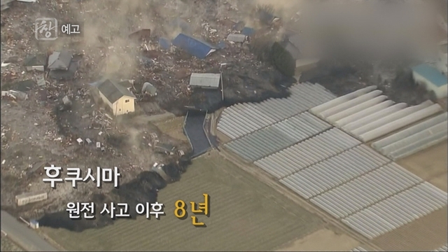 사진 제공 = KBS 1TV '시사기획 창'