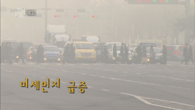 사진 제공 = KBS 1TV '시사기획 창'