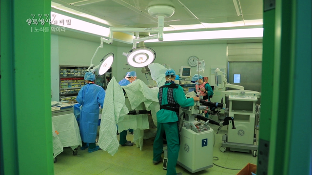 사진 제공 = KBS 1TV '생/로/병/사/의 비밀'