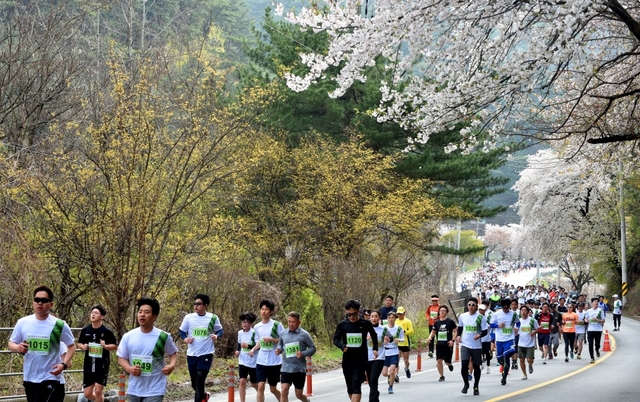 봄내음 속 환상의 레이스를 펼치는 '제16회 춘천호반마라톤대회'가 다음달 21일 춘천 호반 일원에서 개최된다. 사진은 지난 대회 모습. /강원일보 제공