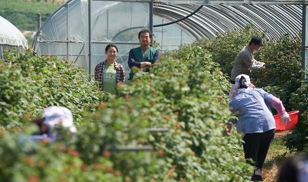 영화 '돈' 속 복분자 농장. 사진= 영화사 제공.