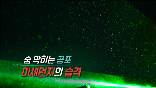 사진 제공 = KBS 1TV '생로병사의 비밀'