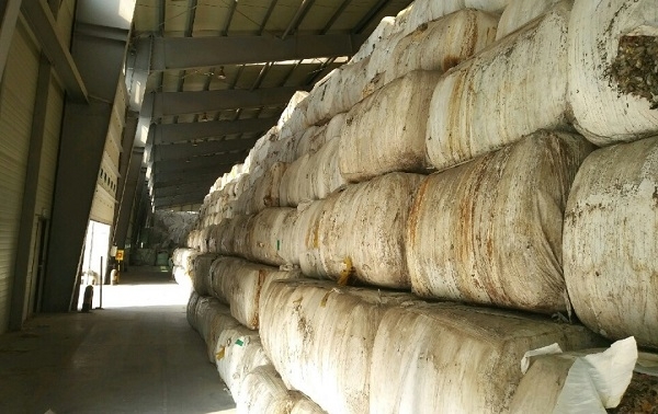 군산자유무역지역 내 물류창고에 보관중인 폐기물.