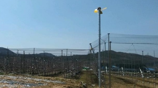 과수원에 설치한 빙상팬