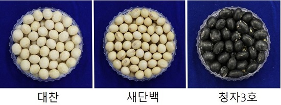 사진제공=농촌진흥청