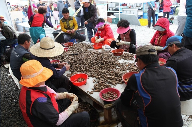 미더덕 까고 있는 어민들. 자그마한 미더덕을 하나하나 일일이 까야 하는 어려움을 겪어야 향긋한 미더덕을 맛볼수 있다.　