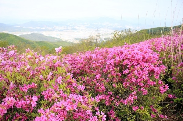 사진제공= 남원시