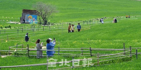 고창 청보리밭축제 개막을 이틀 앞둔 18일 고창군 공음면 학원농장을 찾은 관광객들이 초록빛으로 물든 보리밭 사잇길을 걸으며 봄기운을 만끽하고 있다. 박형민 기자
