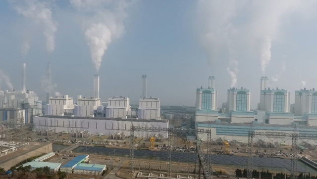 스틸 = EBS '다큐시선'