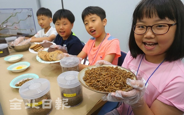 식용곤충을 재료로 쿠키를 만드는 체험을 하고 있는 학생들. 전북일보 자료사진