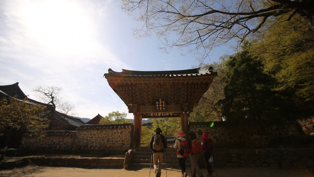 스틸 = KBS '영상앨범 산'