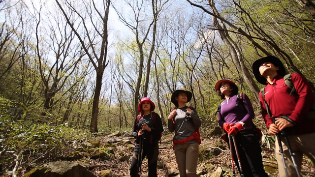 스틸 = KBS '영상앨범 산'