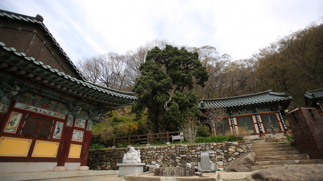 스틸 = KBS '영상앨범 산'