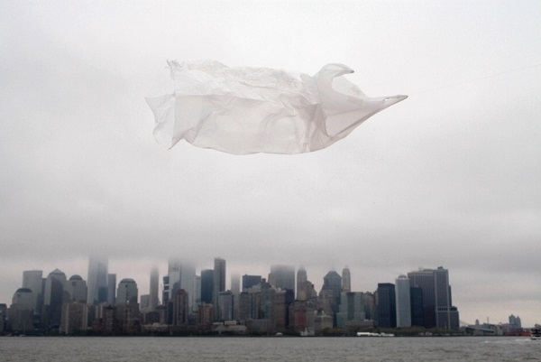 클라우디아 슈미츠 작품