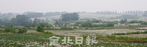 김제공항부지. 전북일보 자료사진