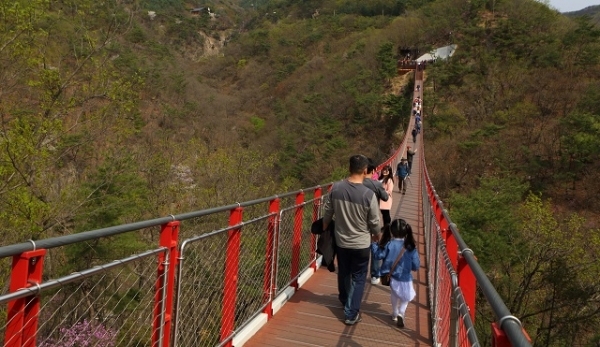 파주시티투어는 다양한 관광자원과 파주만의 특별한 테마를 결합한 다채로운 투어 프로그램을 선보인다. 사진제공=경기관광공사