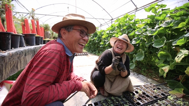 스틸 = EBS 한국기행