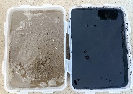 새만금 선상 조사 당시 새만금호에서 퍼낸 퇴적물. 사진제공= 새만금 시민생태조사단