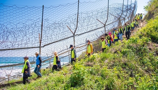 고성 DMZ 평화의길 탐방객들이 한줄로 길게 늘어서 좁은 해안철책로를 걷고 있다.