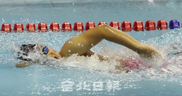 제13회 전국장애학생체육대회가 열리고 있는 15일 전주 완산수영장에서 남자 중등부 자유형 50M에 참가한 장종윤 선수가 힘찬 레이스를 펼치고 있다. 조현욱 기자