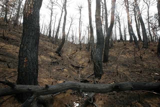 강원도 동해안 일원에 '대형산불'이 발생한 지 한 달을 앞둔 지난 1일 고성군 토성면 인흥3리 마을 뒤편 야산이 검게 그을려 있다. 인흥3리는 민가와 야산이 등을 맞대고 있어 산사태 위험이 매우 높은 지역이다. 2019.5.3 /연합뉴스