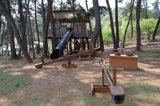소나무 숲 그늘 아래 숲속 놀이터