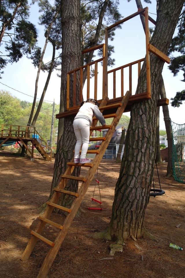 나무 사다리 타기