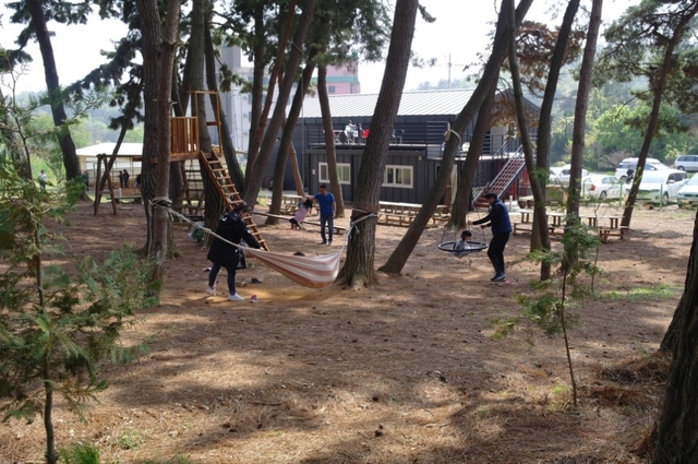 나무 사이 해먹