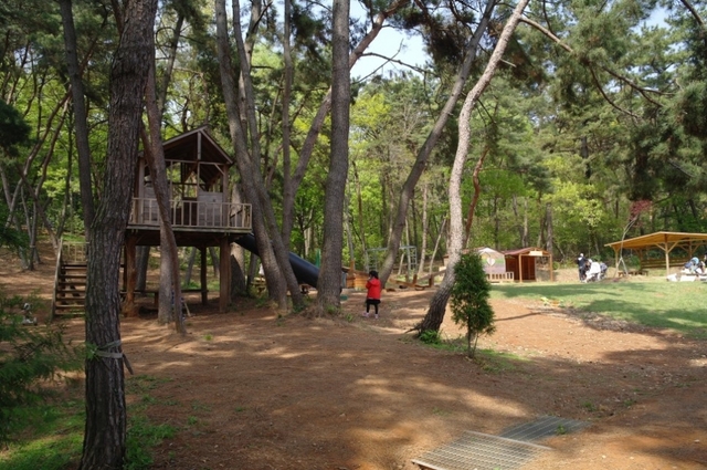 숲속 자연과 함께하는 동화 같은 하루