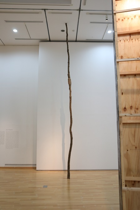 신석호 작품,  참나무·삼목 끈, 10×670cm, 2019