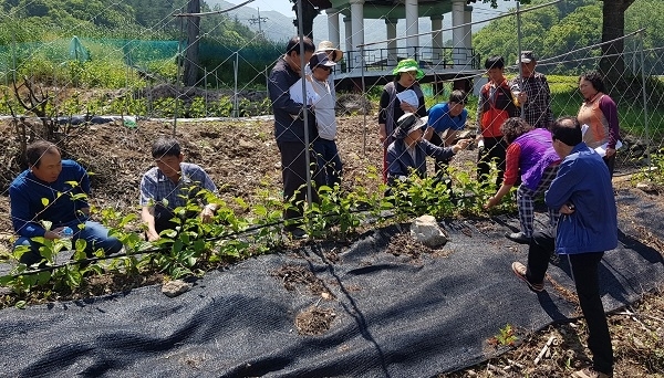 사진제공=산림조합중앙회 전북지역본부