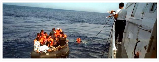 출처 = 유엔난민기구