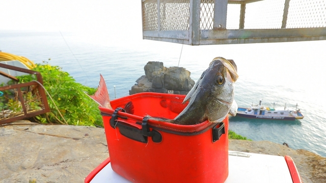 스틸 = EBS1 한국기행