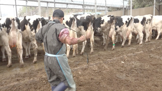 스틸 = EBS1 극한직업