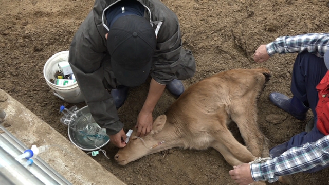 스틸 = EBS1 극한직업