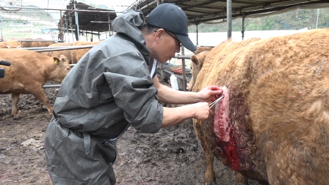 스틸 = EBS1 극한직업