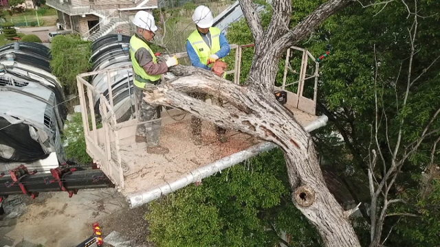 스틸 = EBS1 극한직업