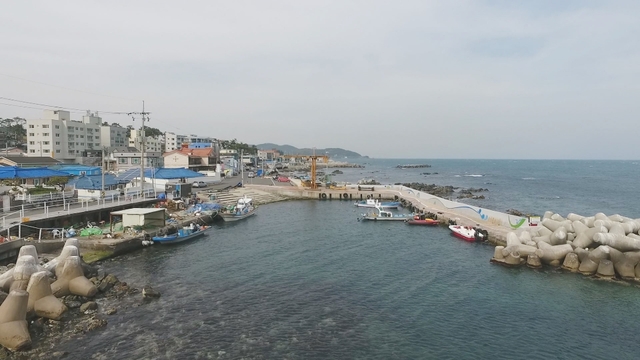 스틸 = KBS 제보자들