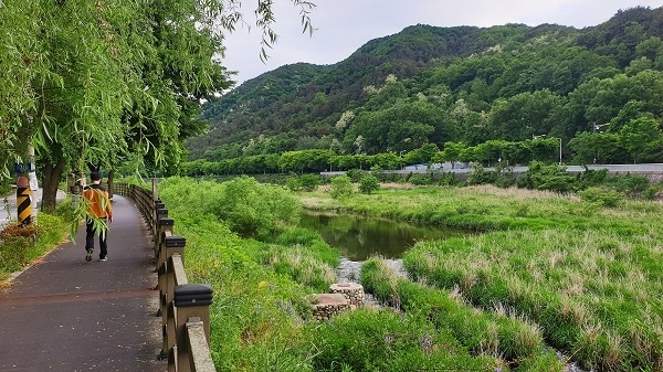 바람쐬러 가는 길. 서학로 5거리에서 승암교를 지나 전주천 동쪽 뚝방길로 이어지는 길이다. 교통이 많아 소음이 심한 17번국도(춘향로)와 나란히 이어지는데, ‘이순신장군 백의종군로’나 ‘통영별로’ 답사 시 대체로로 이용하면 좋을 듯하다.