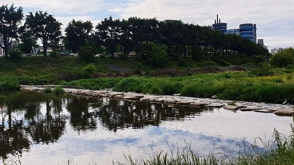 전주천 풍경. 도심 속의 생태하천으로 복원되어 수달, 쉬리 등이 서식하며, 깨끗한 물길은 징검다리, 등갈퀴나무, 창포 등 다양한 풀꽃들이 어우러지며 아름다운 풍경을 연출한다. 천변 전 구간으로 자전거길과 보행로가 이어져 있다.