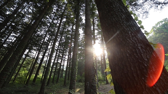 스틸 = KBS '영상앨범 산'