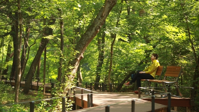 스틸 = KBS '영상앨범 산'