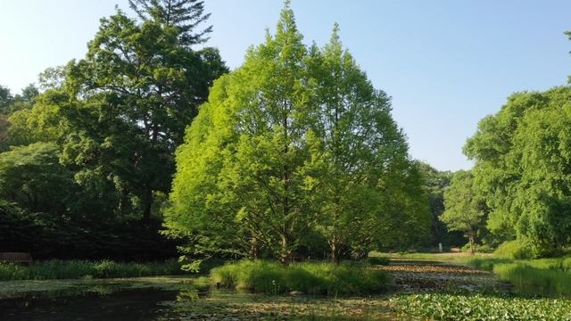 스틸 = KBS '영상앨범 산'