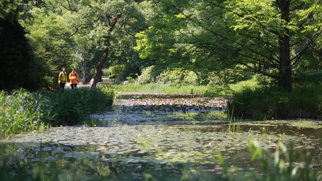 스틸 = KBS '영상앨범 산'