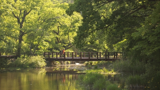 스틸 = KBS '영상앨범 산'