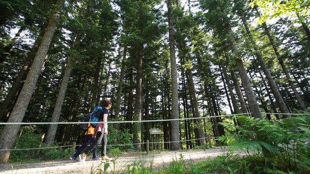 스틸 = KBS '영상앨범 산'