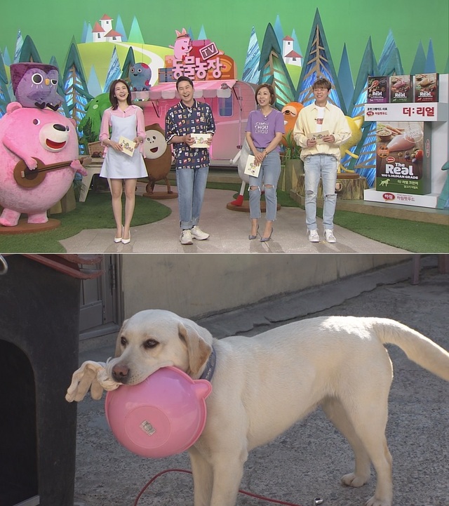 스틸 = SBS 'TV 동물농장'