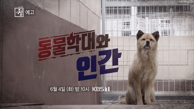 스틸 = KBS 시사기획 창