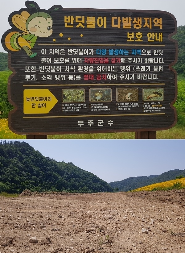 무주군 무주읍 뒷섬마을에 세워진 '반딧불이 다발생지역'이라는 안내판(사진 위)과 뒷섬마을 하천부지에 무주군 패러글라이딩협회가 착륙장 조성을 위해 평탄작업을 한 모습.