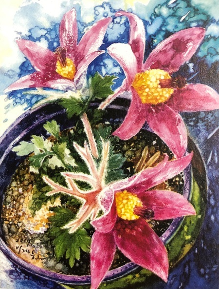 이건호 작품 '할미꽃 모종'